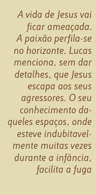 Citação