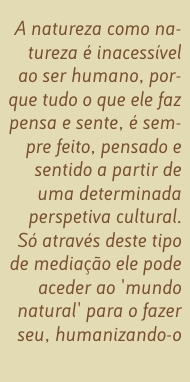 Citação