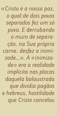 Citação